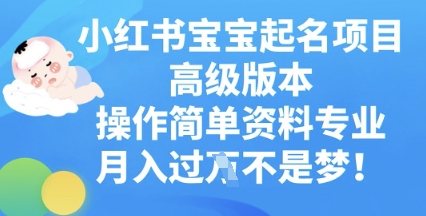 小红书宝宝起名项目高级版本，操作简单，资料专业，月入过W-梦妍科技资源网