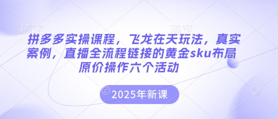 拼多多实操课程，飞龙在天玩法，真实案例，直播全流程链接的黄金sku布局原价操作六个活动-梦妍科技资源网