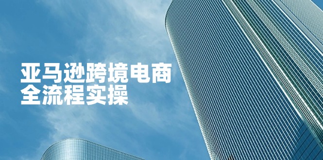 （14252期）亚马逊跨境电商全流程实操，教你从零开始，掌握店铺运营与广告技巧-梦妍科技资源网