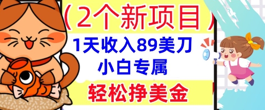 2个新项目，轻松挣美金， 1天收入89美刀，小白专属，干货分享-梦妍科技资源网