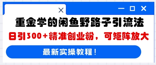 重金学的闲鱼野路子引流法，日引300+精准创业粉，可矩阵放大-梦妍科技资源网