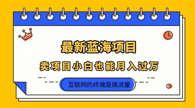 （14289期）2025年最新蓝海项目，卖项目小白也能月入过万-梦妍科技资源网