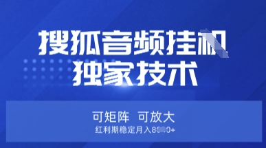 【搜狐音频挂G】独家技术，可矩阵可放大，红利期稳定月入8k【揭秘】-梦妍科技资源网