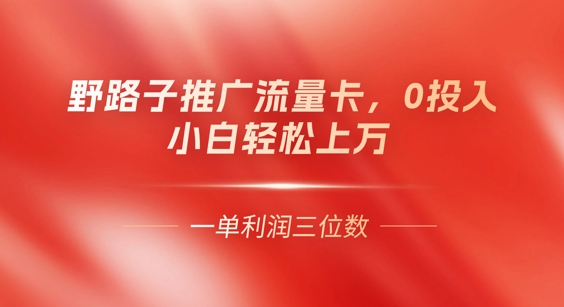 0门槛推广流量卡,一单收益上百,0投入,小白月入过W-梦妍科技资源网