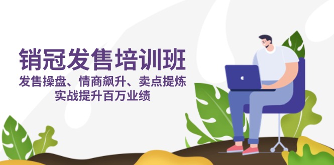 （14203期）销冠 发售培训班：发售 操盘+情商 飙升+卖点 提炼，实战提升百万业绩-梦妍科技资源网
