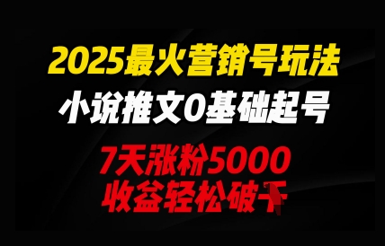 2025最火营销号玩法：小说推文0基础起号，7天涨粉5000，收益轻松破k-梦妍科技资源网