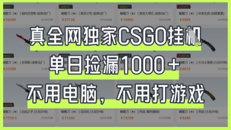 真全网独家CSGO挂G，单日捡漏1k+【揭秘】-梦妍科技资源网