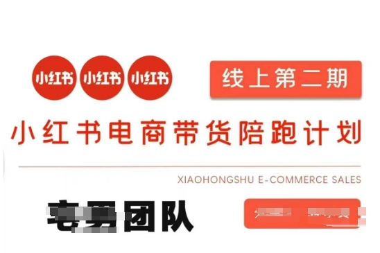 小红书电商带货课2期，月利润20个的小红书电商的有货源，无货源，虚拟产品，付费投流等整套玩法-梦妍科技资源网