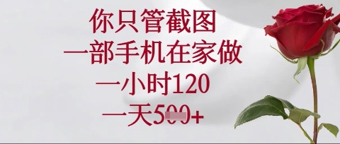 你只管截图，一部手机在家操作，一小时120.一天5张【揭秘】-梦妍科技资源网