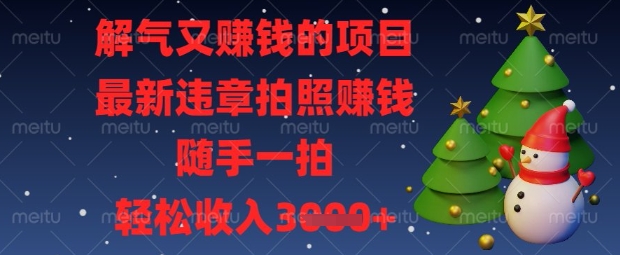 解气又挣钱的项目，最新违章拍照挣钱，随手一拍，轻松收入数张【揭秘】-梦妍科技资源网
